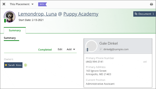 lemondrop, puppy academy